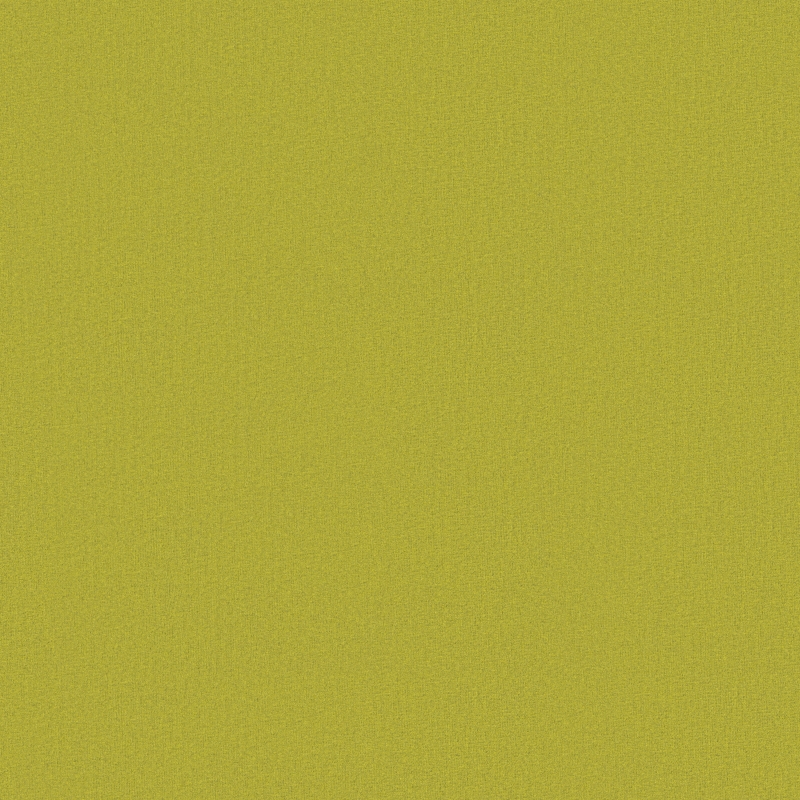 TKTO-504 leaf